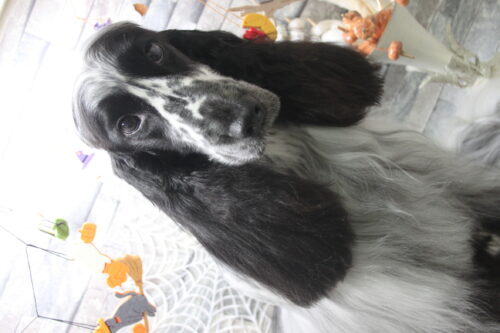 1031%e4%bd%8f%e5%80%89%e3%83%90%e3%83%ad%e3%83%b3