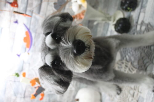 1031%e6%bf%b1%e9%87%8e%e3%83%9e%e3%83%ab