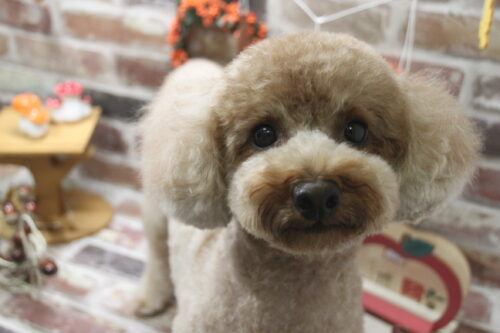 1107%e4%b8%ad%e6%9d%91%e3%82%82%e3%81%93