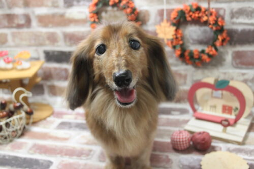 1119%e7%ab%b9%e4%b8%8b%e3%81%bf%e3%81%9a