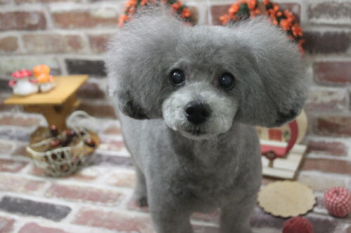 1119%e7%af%a0%e5%8e%9f%e3%82%86%e3%81%9a