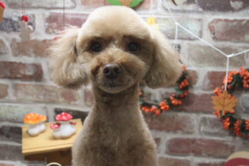 1122%e6%b8%85%e7%80%ac%e3%83%9e%e3%83%ad%e3%83%b3