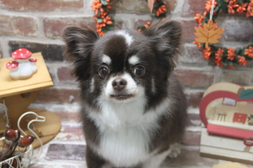 1122%e6%bf%b1%e7%94%b0%e3%82%a8%e3%83%bc%e3%82%b9