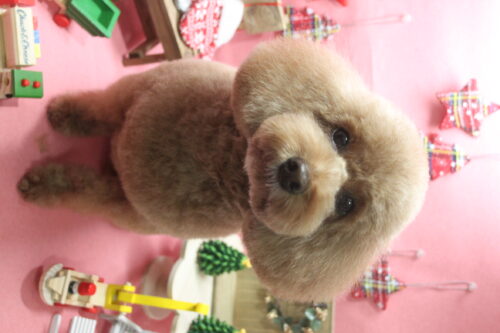 1205%e5%86%85%e6%b5%b7%e3%83%81%e3%83%a7%e3%82%b3