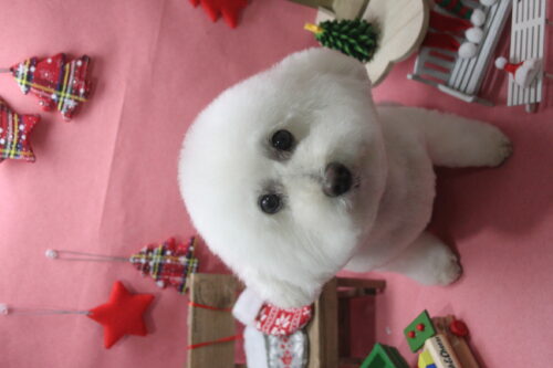 1205%e5%b1%b1%e4%b8%8b%e3%83%ad%e3%83%8a