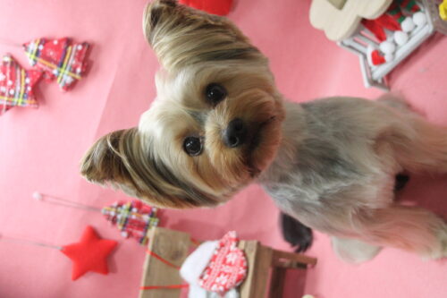 1205%e5%b2%a1%e7%94%b0%e3%82%81%e3%81%84