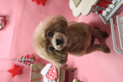 1205%e5%b2%a9%e5%b4%8e%e3%83%9f%e3%82%af