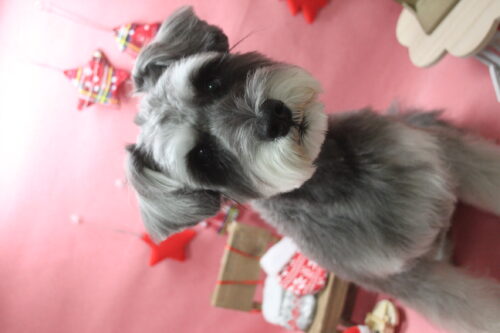 1205%e6%9d%be%e6%9c%ac%e3%81%b5%e3%81%86%e3%81%9f