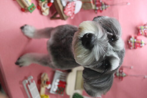 1205%e6%bf%b1%e9%87%8e%e3%83%9e%e3%83%ab