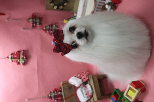 1224%e4%b8%8a%e9%98%aa%e3%83%a9%e3%83%ab%e3%82%b4