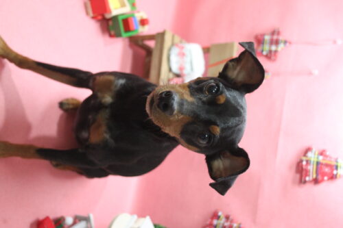 1224%e4%bc%8a%e9%81%94%e3%83%90%e3%83%ad%e3%83%b3