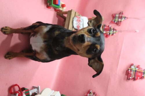 1224%e4%bc%8a%e9%81%94%e3%83%a9%e3%83%93