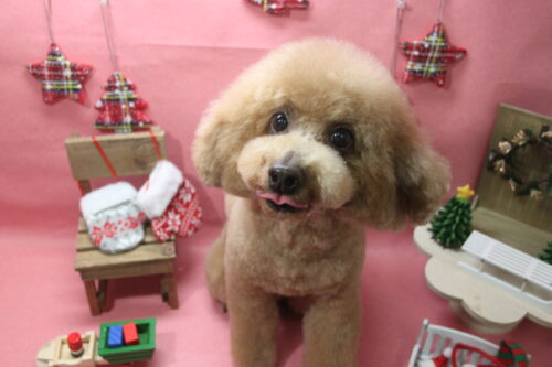 1224%e7%9c%9f%e5%a2%83%e5%90%8d%e3%83%a9%e3%83%83%e3%82%ad%e3%83%bc