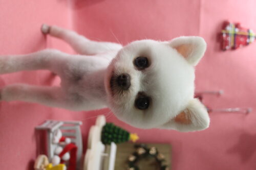 1224%e9%ab%98%e6%a9%8b%e3%81%b2%e3%81%aa