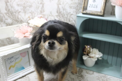 0104%e7%af%80%e7%94%b0%e3%83%8f%e3%83%ab