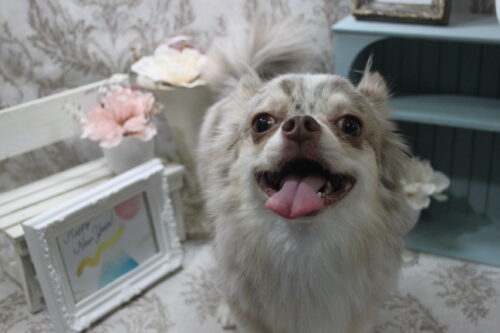 0104%e7%af%80%e7%94%b0%e5%b9%b8