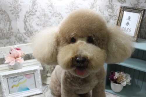 0108%e7%8e%89%e4%ba%95%e3%81%8f%e3%81%86