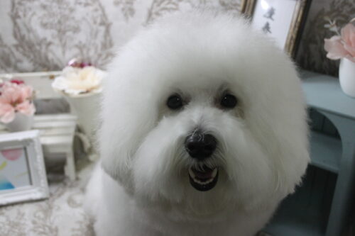 0109%e5%a4%aa%e7%94%b0%e5%a4%aa%e9%83%8e