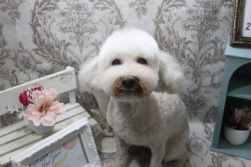 0111%e5%b7%9d%e5%b4%8e%e3%83%8b%e3%82%b3