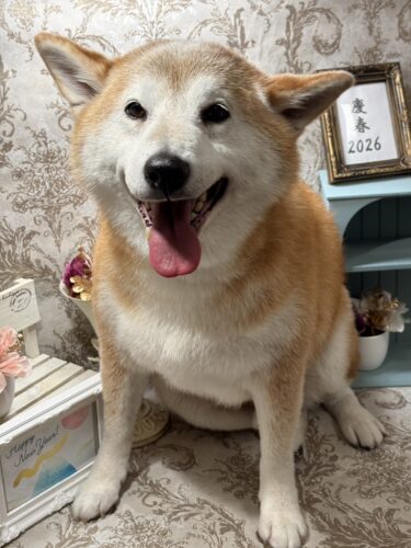 0114%e5%90%89%e8%89%af%e5%a4%a7%e5%90%89