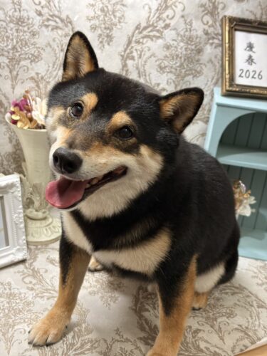 0114%e5%90%89%e8%89%af%e5%a4%a7%e5%92%8c