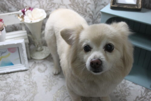 0114%e5%b0%8f%e4%b9%85%e4%bf%9d%e3%83%ab%e3%83%bc%e3%83%81%e3%82%a7