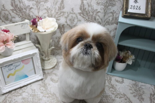 0114%e5%b7%9d%e7%aa%aa%e3%83%a9%e3%83%b3%e3%83%a9%e3%83%b3