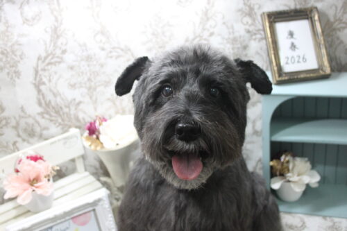 0114%e6%9c%a8%e9%87%8e%e6%9d%91%e3%83%a9%e3%83%b3%e3%83%87%e3%82%a3