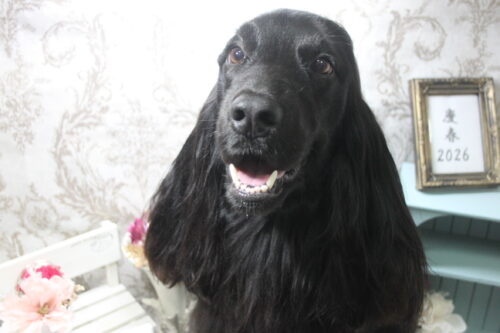 0114%e7%89%a7%e3%82%a2%e3%83%8b%e3%83%bc