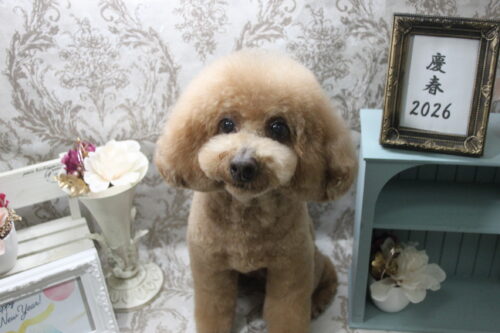 0114%e7%9c%9f%e5%a2%83%e5%90%8d%e3%83%a9%e3%83%83%e3%82%ad%e3%83%bc