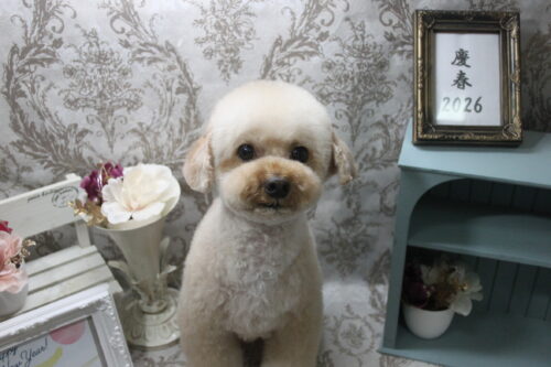 0114%e8%a5%bf%e9%87%8e%e3%83%a2%e3%82%ab