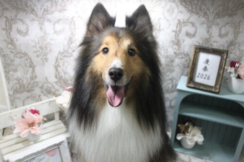 0115%e5%be%8c%e8%97%a4%e3%82%a2%e3%83%ac%e3%83%b3