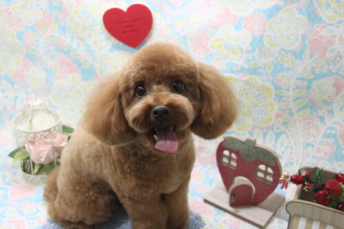 0205%e4%b8%ad%e9%87%8e%e3%81%be%e3%82%8d