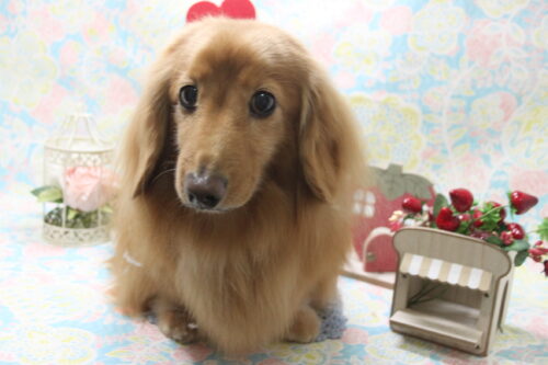 0205%e7%9f%b3%e5%a1%9a%e3%81%8f%e3%83%bc