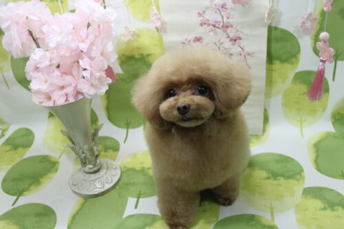 0318%e4%b8%80%e6%a5%bd%e3%81%b2%e3%81%be%e3%82%8f%e3%82%8a