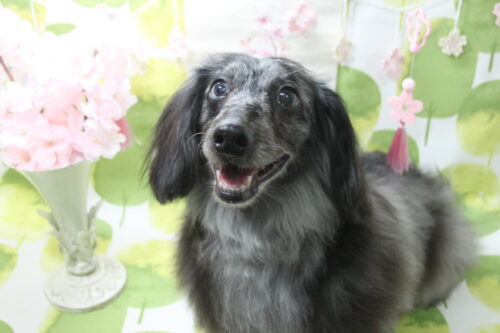 0318%e5%b0%8f%e5%b7%bb%e3%83%ac%e3%82%b4