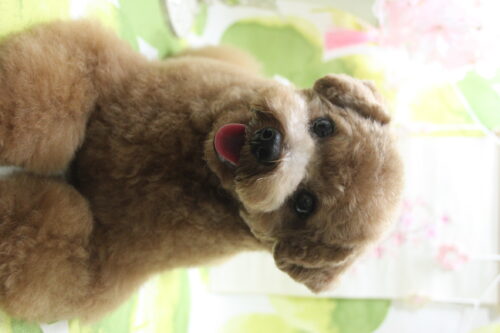 0318%e7%89%87%e5%b1%b1%e3%83%a9%e3%83%86