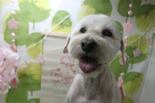 0318%e8%bb%8a%e7%94%b0%e3%83%ab%e3%83%95%e3%82%a3