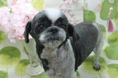 0318%e8%be%bb%e6%9d%91%e3%83%a9%e3%83%a0